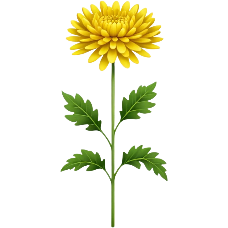 single Bright Yellow Chrysanthemum, straight stem emoji