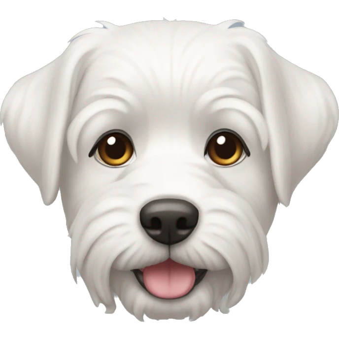 perro maltes blanco  emoji