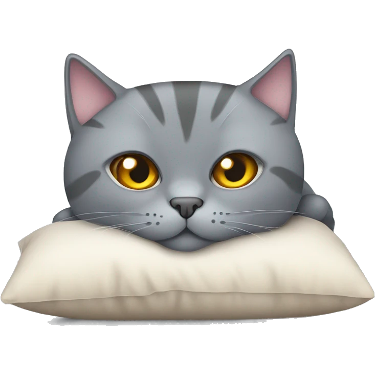 Scottish grey cat laying on the pillow emoji