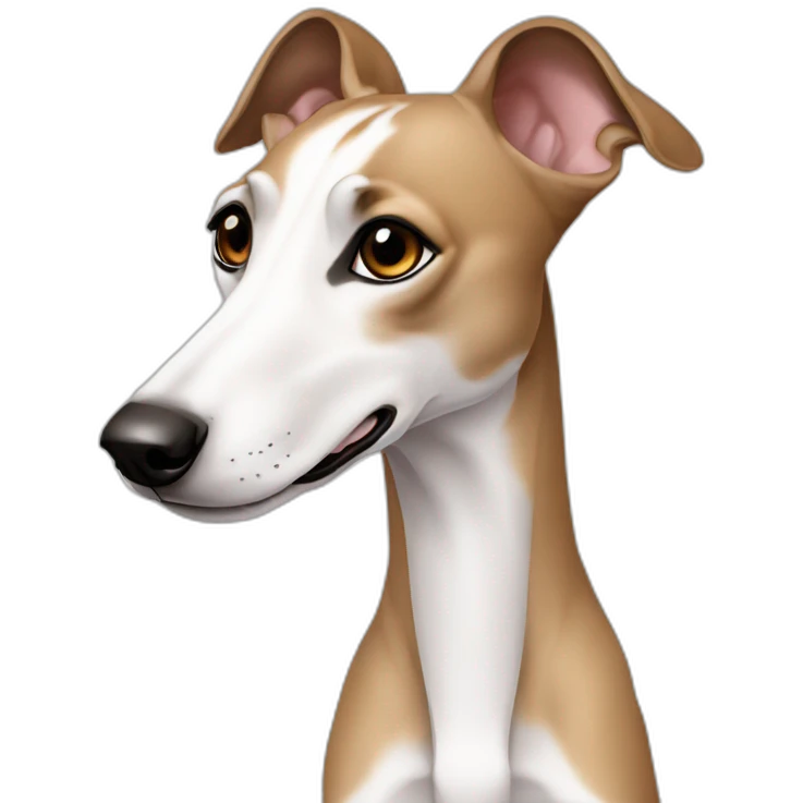 Whippet white white brown ear emoji