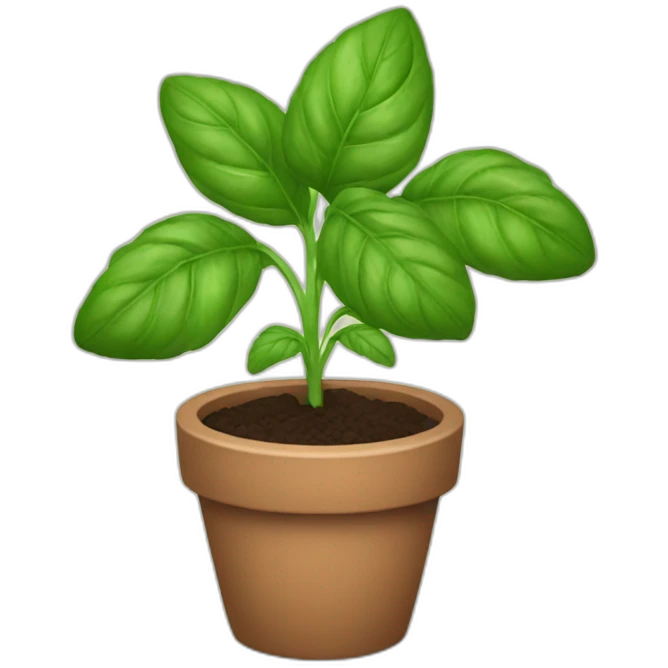 Basil plant emoji