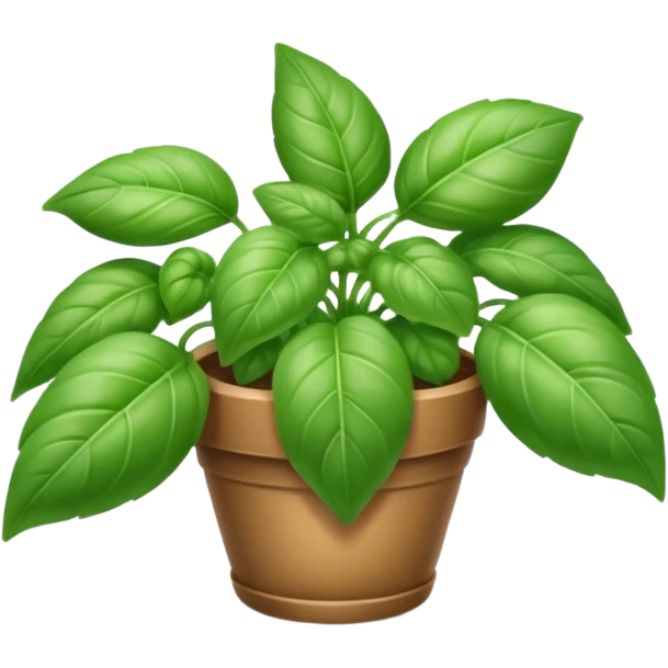 Basil emoji without a pot emoji