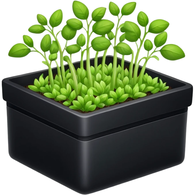 aromatic sprouts black box emoji