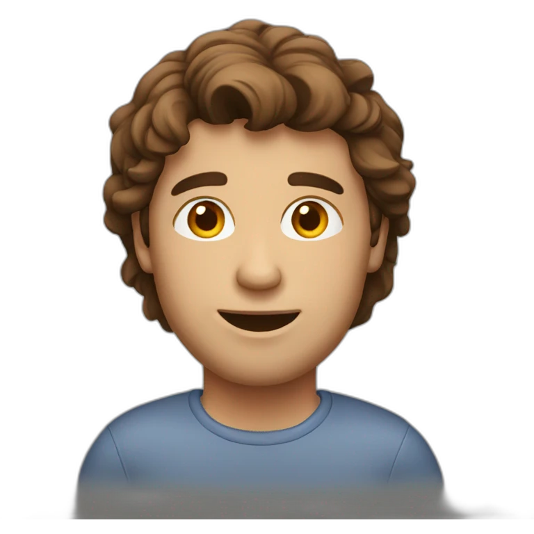 brown hair guy using laptop emoji