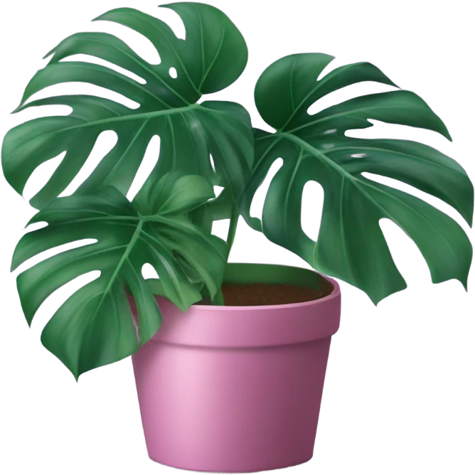 Monstera flower violet color in a pink-colored pot emoji