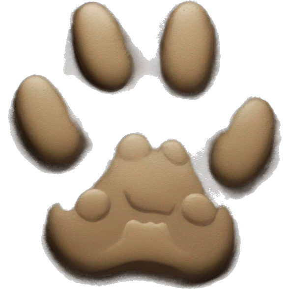 dog paw imprint in mud emoji