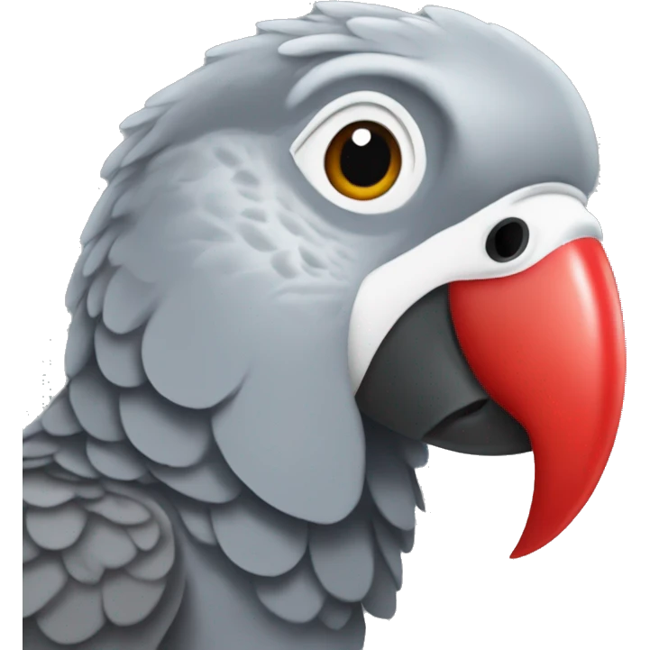 African grey parrot with red tail emoji