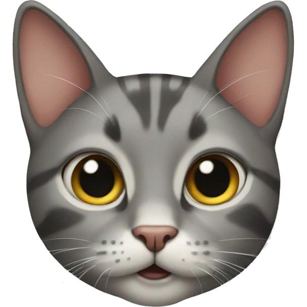 Cat emoji