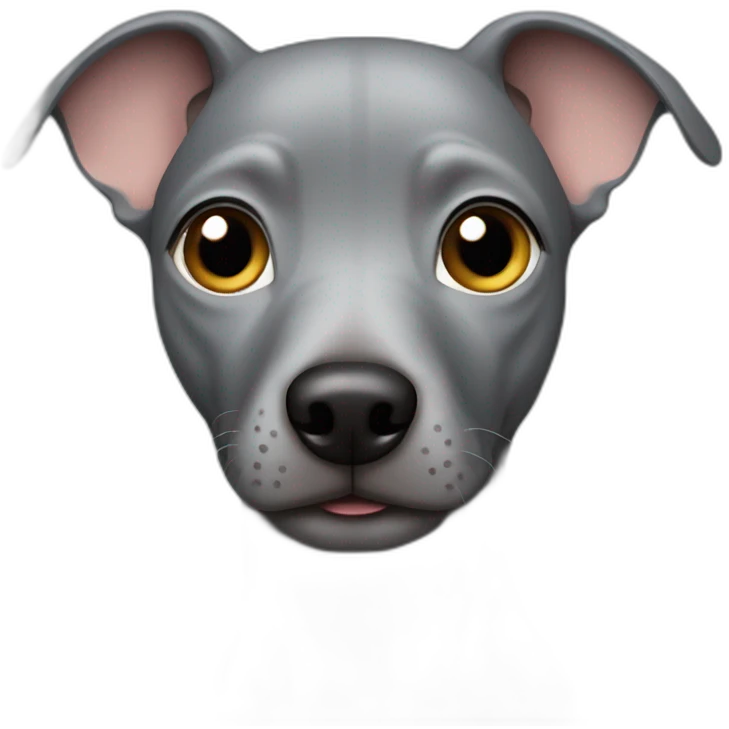 gray Peruvian hairless dog emoji