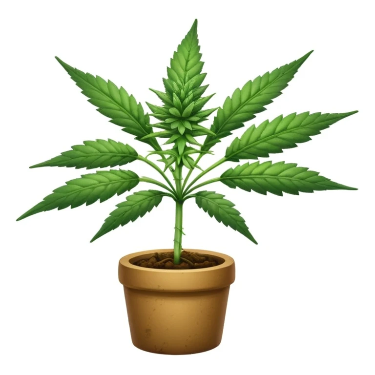 Cannabis  emoji