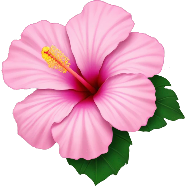 Pink Hibiscus Flower emoji