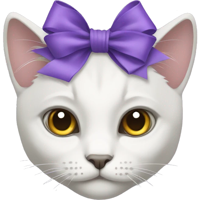 white gray mixed cat with purple bow emoji