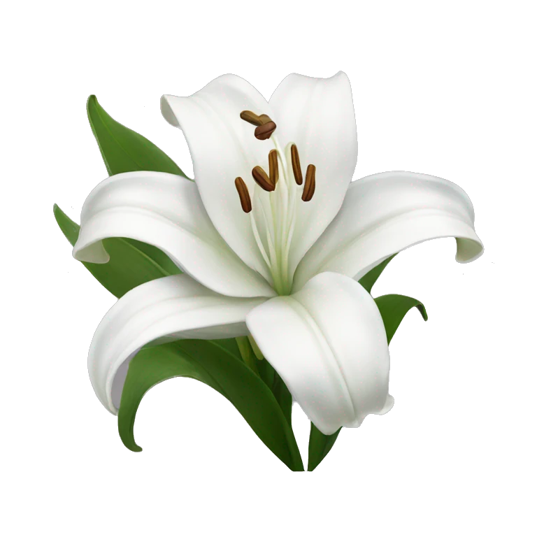 White lilies  emoji