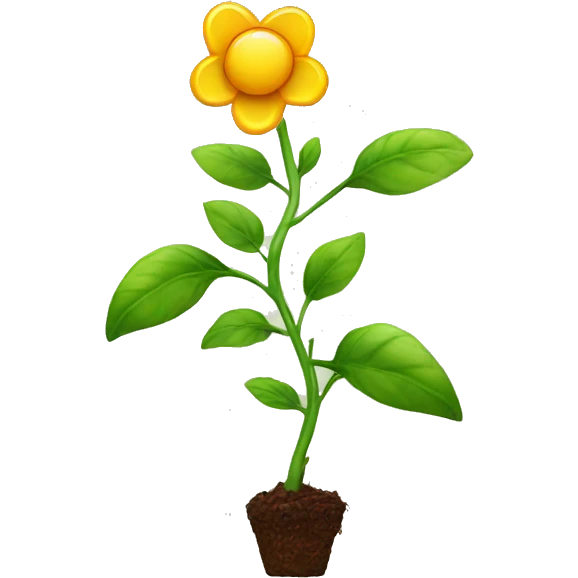plant growing and becoming flower emoji