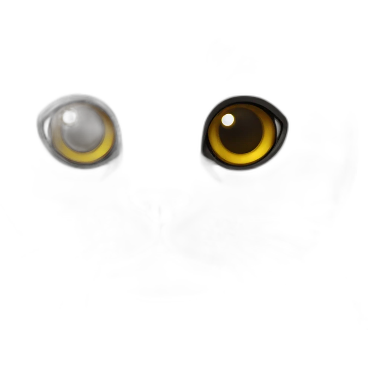 Scottish fold emoji