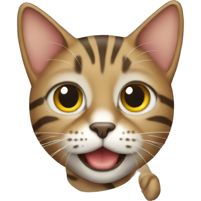 Tabby cat emoji