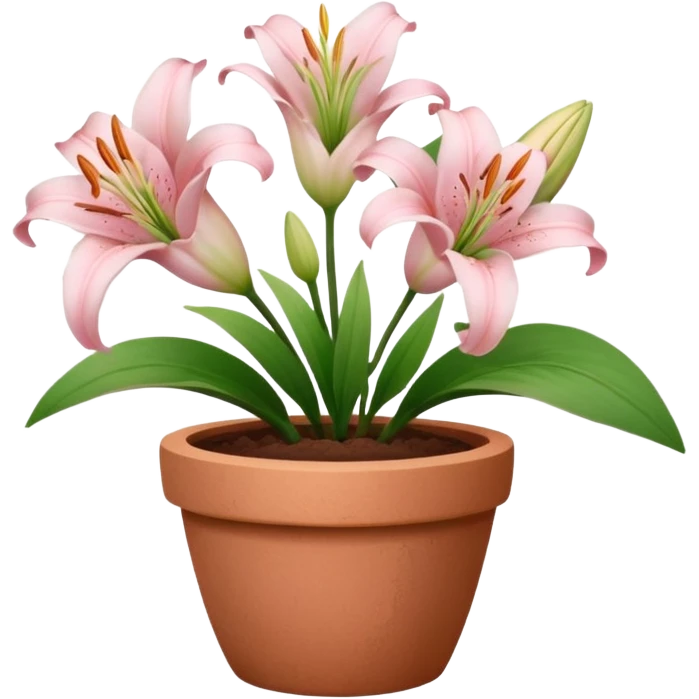 light pink lily flowers in a clay pot emoji