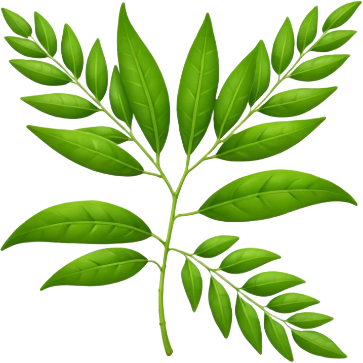 Curry Leaves emoji