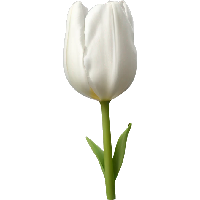 white tulipans  emoji