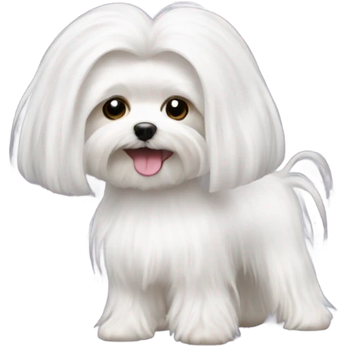 Make a white long haired Maltese doing ballet  emoji
