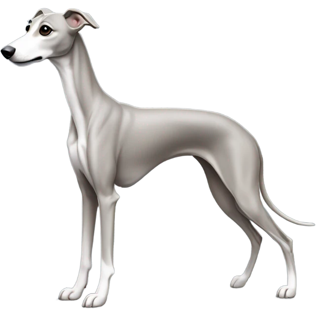Grey whippet emoji