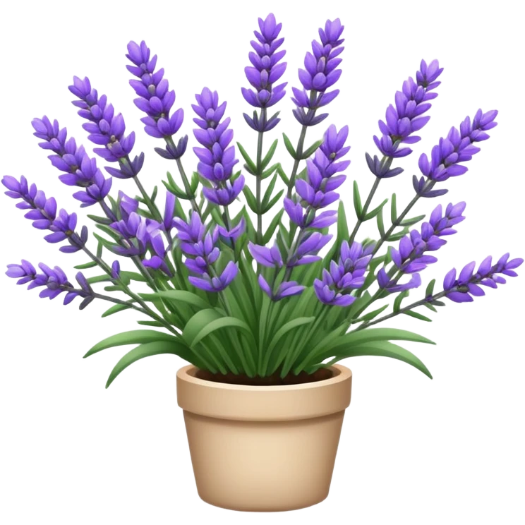 Lavanda  emoji