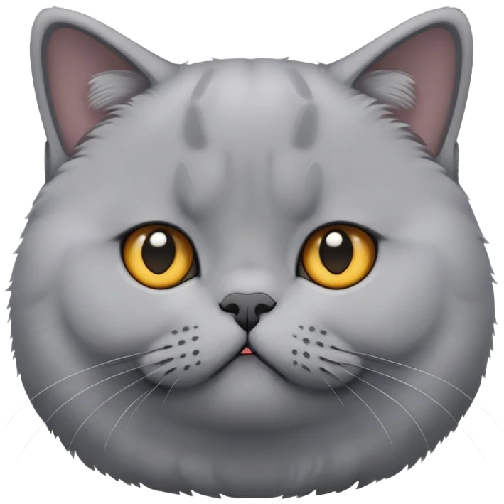 British shorthair emoji