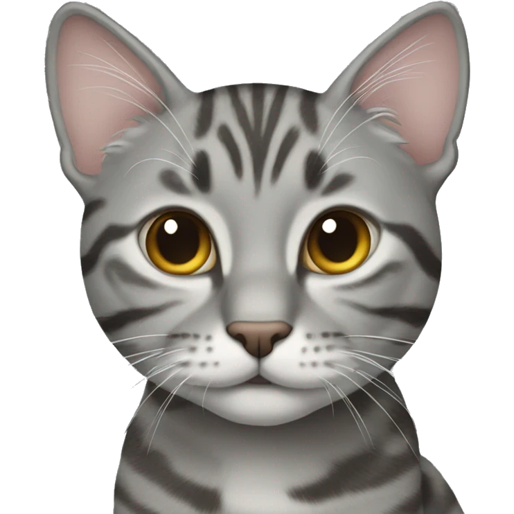 Grey tabby emoji