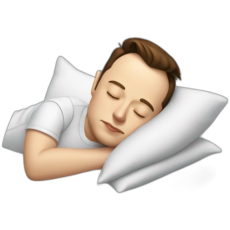 Elon musk sleeping emoji
