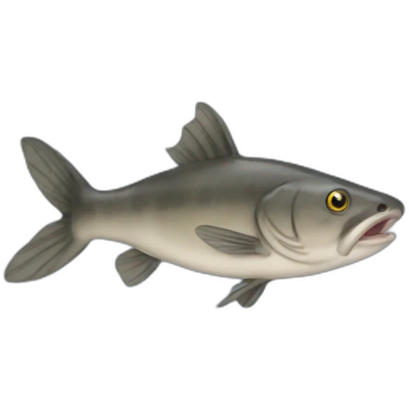 Catfish emoji