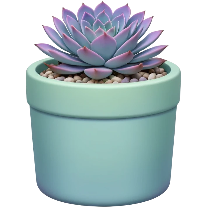 A pastel blue ceramic pot, cylindrical in shape, with a shallow rim, containing a Graptopetalum succulent plant. emoji