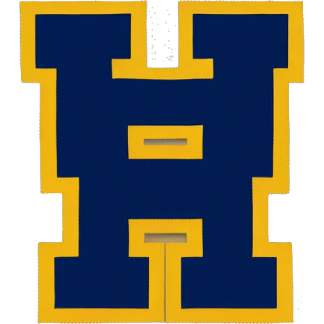 University of Michigan 2023 national champions banner emoji