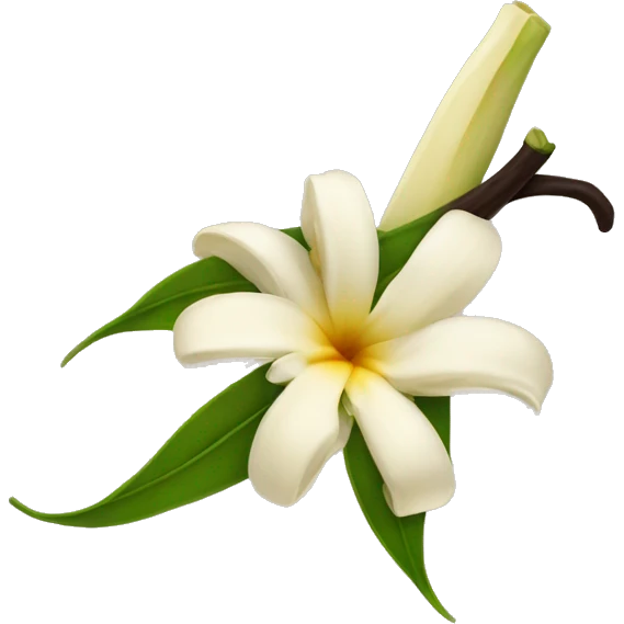  vanilla beans with flower emoji