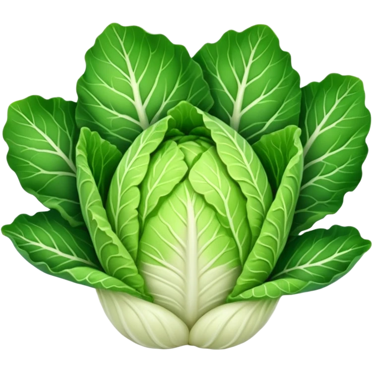 chinese cabbage emoji