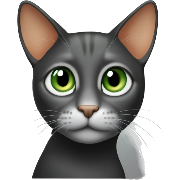 The cat has large green eyes, a smooth gray head without stripes, a light orange muzzle, and a white neck. Its expression is gentle and curious, with a solid black background for contrast. The style is clean, minimalistic, and true to the cat’s colors. emoji