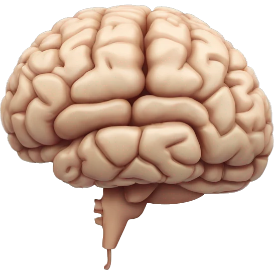 Cerebellum of brain without the rest of brain emoji