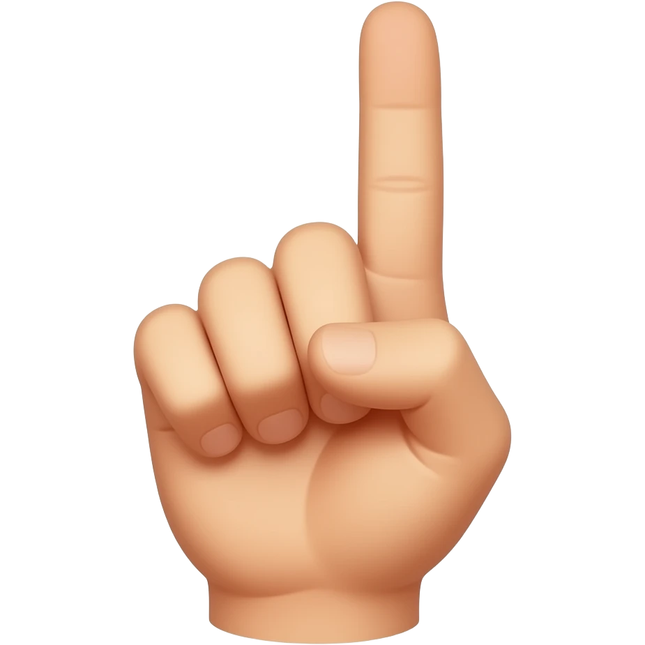 quiero una mano con el dedo indice arriba afirmando una aclaracion emoji