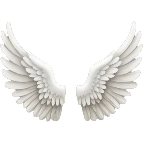 biblical angel wing emoji