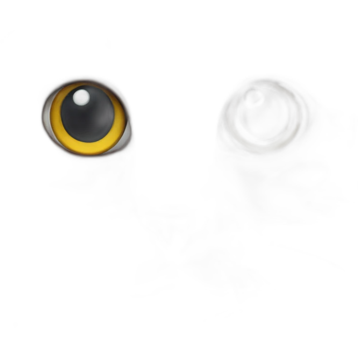 eyes cat emoji