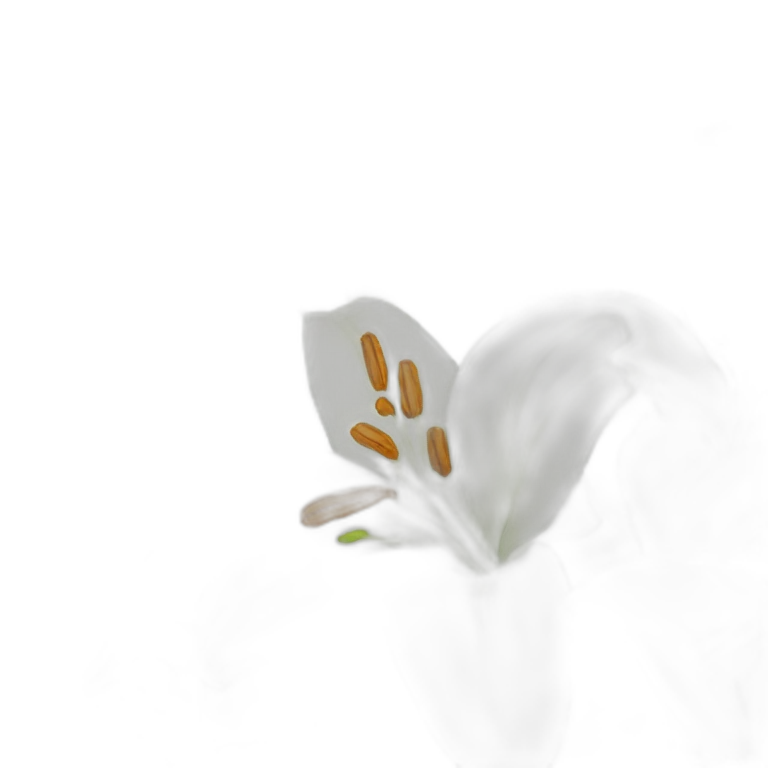 lilies emoji