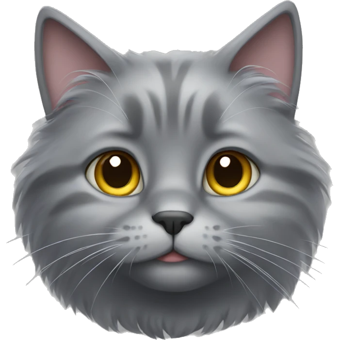 Fluffy grey cat emoji