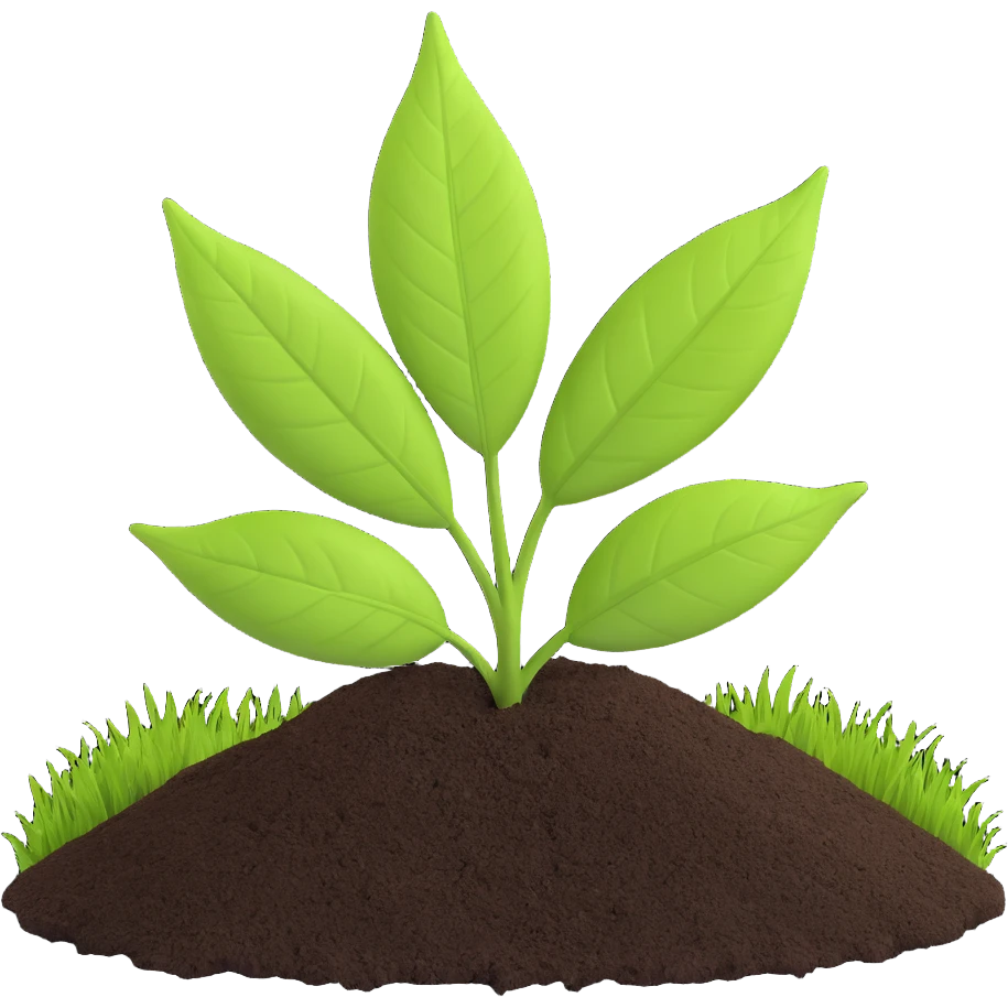 A fresh green leaf placed on soil or grass, clearly above the ground. emoji