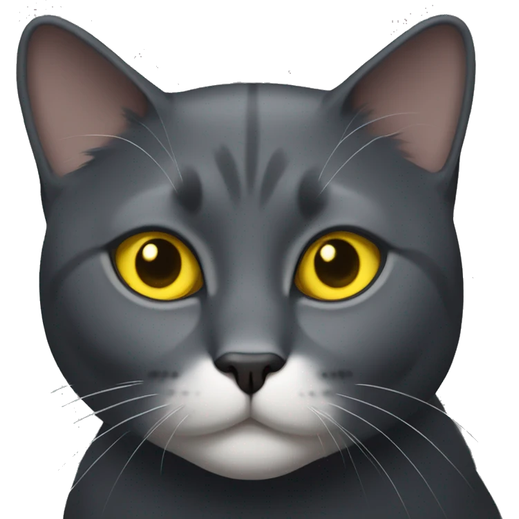 Dark Gray cat with yellow eyes and a small white patch only on chest emoji