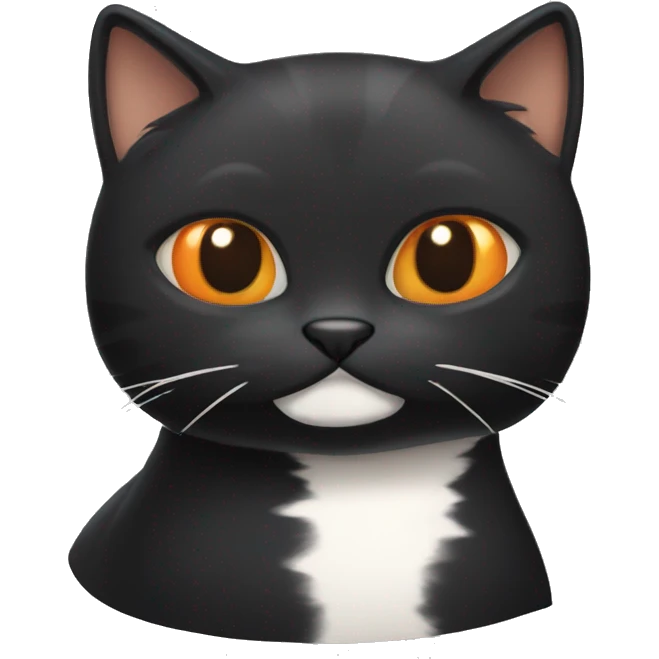 Puffy black cat with orange and white cat emoji
