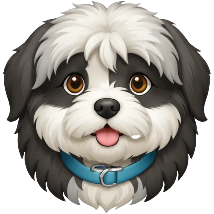 Black Havanese with white chest and greyish around mouth emoji
