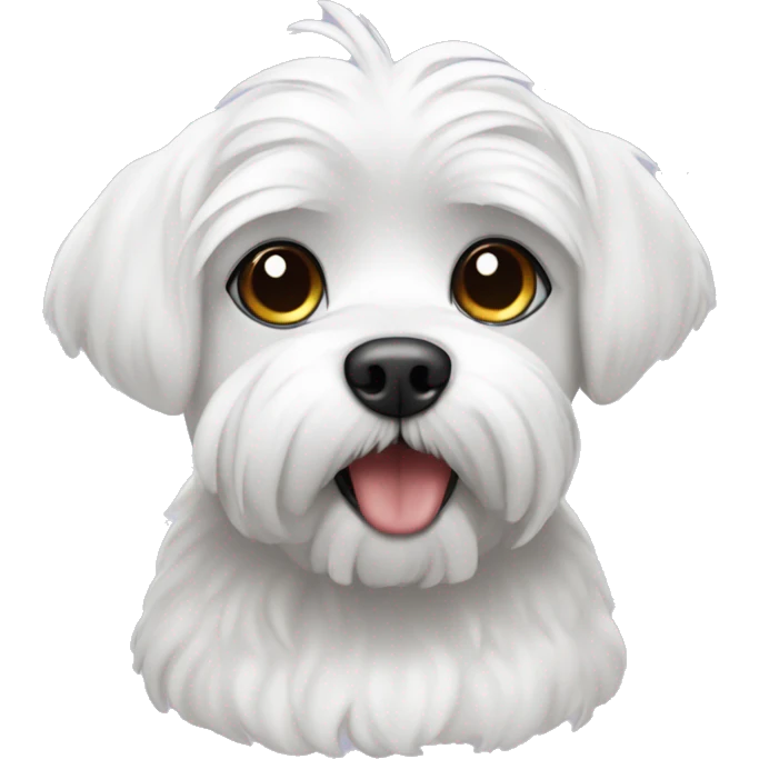 Maltese with a caller that says Romeo  emoji