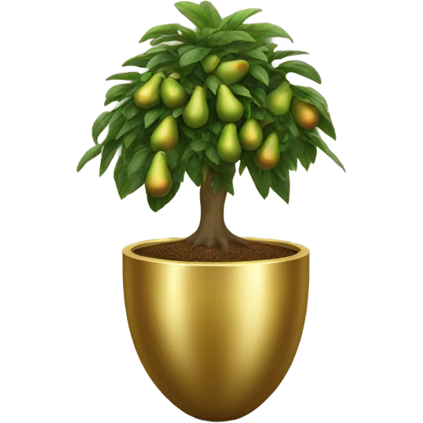 Avocado tree in gold pot emoji