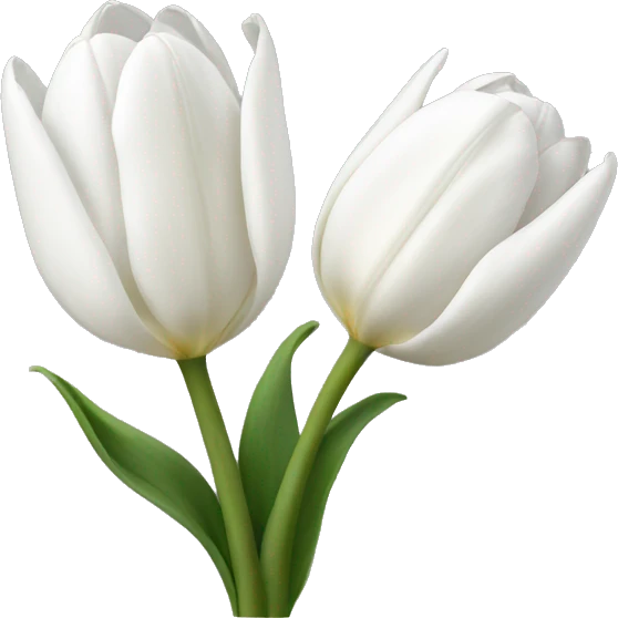 White tulips  emoji