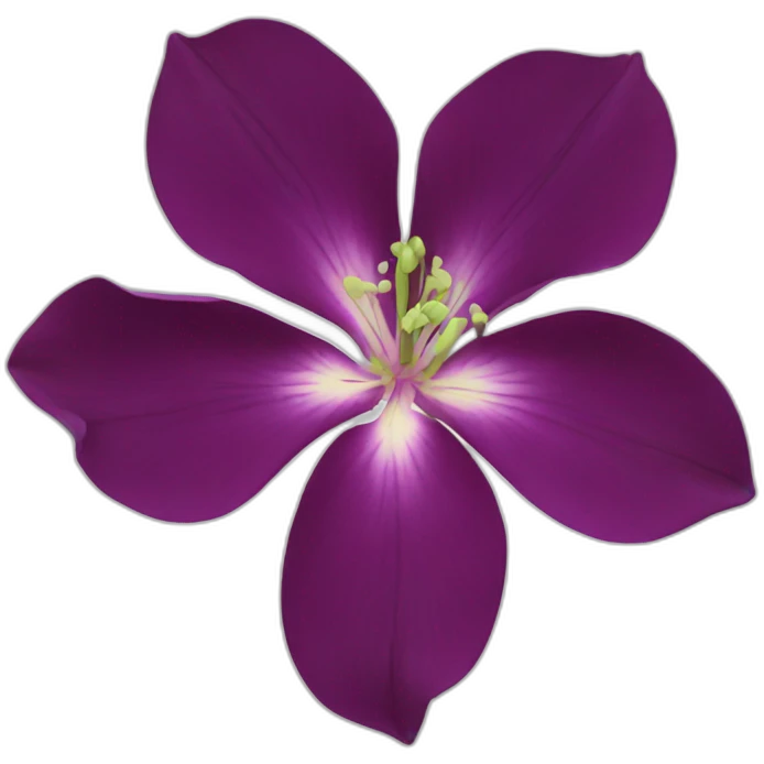 black bauhinia emoji