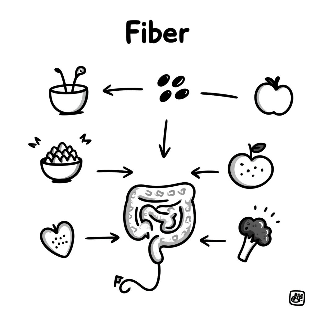 Hand-drawn doodle showing various fiber-rich foods like oats, beans, apples, berries, and broccoli with arrows pointing to a healthy intestine, with text showing 'Fiber' emoji